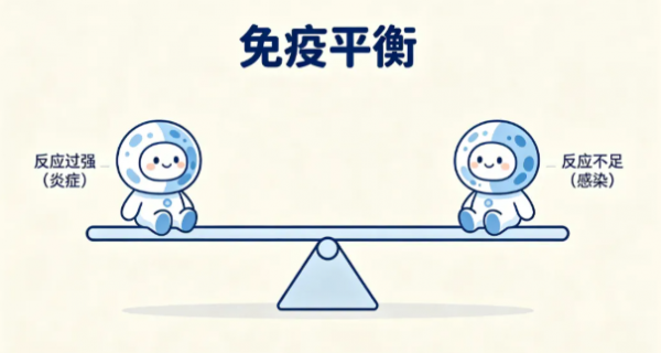 你以为的“增强免疫力”，可能正悄悄让它失衡